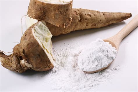  Arrowroot ! Un amidon fascinant pour l’industrie agroalimentaire et pharmaceutique ?